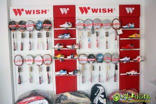 天胜文体用品 潜山羽毛球在Discuz平台上的品牌推广与社群构建